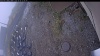 Web Cam Image - Mon, 10/20/2025 8:54am PDT