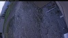 Web Cam Image - Mon, 05/11/2026 6:29pm PDT