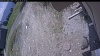 Web Cam Image - Wed, 05/20/2026 11:54am PDT