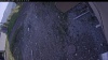 Web Cam Image - Wed, 05/20/2026 6:14pm PDT