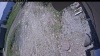 Web Cam Image - Mon, 06/01/2026 11:54am PDT