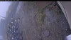 Web Cam Image - Mon, 10/20/2025 8:49am PDT