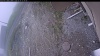 Web Cam Image - Tue, 05/19/2026 11:04am PDT