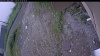 Web Cam Image - Sat, 06/27/2026 6:49am PDT
