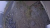 Web Cam Image - Mon, 10/20/2025 8:44am PDT