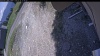 Web Cam Image - Wed, 05/20/2026 12:34pm PDT
