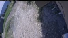 Web Cam Image - Mon, 06/01/2026 12:19pm PDT
