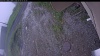 Web Cam Image - Tue, 06/09/2026 5:39am PDT