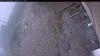 Web Cam Image - Wed, 05/13/2026 4:34pm PDT