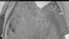 Web Cam Image - Wed, 06/03/2026 8:14pm PDT