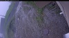 Web Cam Image - Tue, 06/09/2026 5:34am PDT