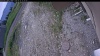Web Cam Image - Mon, 06/15/2026 9:54am PDT