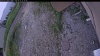 Web Cam Image - Sat, 06/20/2026 7:59pm PDT