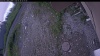Web Cam Image - Sun, 06/28/2026 7:54am PDT