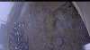 Web Cam Image - Mon, 10/20/2025 8:34am PDT