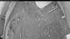 Web Cam Image - Sat, 05/16/2026 8:04pm PDT