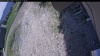 Web Cam Image - Mon, 06/01/2026 12:09pm PDT