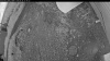 Web Cam Image - Sun, 06/28/2026 7:49pm PDT