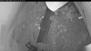Web Cam Image - Tue, 07/28/2026 4:49am PDT