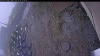Web Cam Image - Mon, 10/20/2025 8:24am PDT
