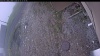 Web Cam Image - Wed, 05/13/2026 4:19pm PDT
