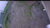 Web Cam Image - Fri, 06/05/2026 9:09am PDT
