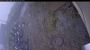 Web Cam Image - Mon, 10/20/2025 8:19am PDT