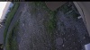 Web Cam Image - Mon, 07/06/2026 7:09pm PDT