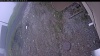 Web Cam Image - Fri, 05/15/2026 5:44am PDT