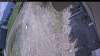 Web Cam Image - Wed, 05/20/2026 12:04pm PDT