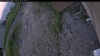 Web Cam Image - Sat, 06/20/2026 7:34pm PDT
