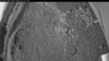 Web Cam Image - Thu, 06/25/2026 2:59am PDT