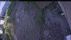 Web Cam Image - Sat, 06/27/2026 6:44pm PDT