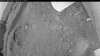 Web Cam Image - Tue, 07/07/2026 8:19pm PDT