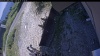 Web Cam Image - Sat, 08/08/2026 1:04pm PDT