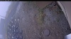 Web Cam Image - Mon, 10/20/2025 8:09am PDT