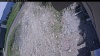 Web Cam Image - Mon, 06/01/2026 11:44am PDT