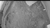 Web Cam Image - Tue, 07/07/2026 8:14pm PDT