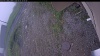 Web Cam Image - Fri, 06/05/2026 8:49am PDT