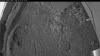 Web Cam Image - Thu, 06/25/2026 2:49am PDT