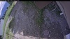 Web Cam Image - Sat, 07/04/2026 3:34pm PDT