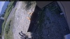 Web Cam Image - Sat, 08/08/2026 12:54pm PDT