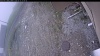 Web Cam Image - Wed, 05/13/2026 1:19pm PDT