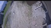 Web Cam Image - Wed, 05/20/2026 11:49am PDT