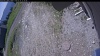 Web Cam Image - Sun, 05/31/2026 11:19am PDT