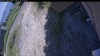 Web Cam Image - Mon, 07/06/2026 1:00pm PDT