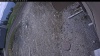 Web Cam Image - Sun, 05/10/2026 11:59am PDT