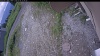 Web Cam Image - Sat, 07/04/2026 11:04am PDT
