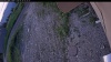 Web Cam Image - Wed, 06/24/2026 2:14am PDT