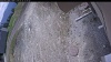 Web Cam Image - Sun, 05/10/2026 11:44am PDT